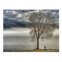 Osoyoos Walking the dog Postcard