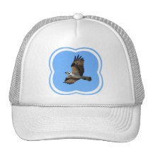 Osprey Bird Baseball Hat