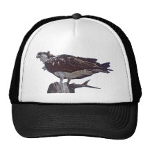 Osprey Bird Mesh Hat
