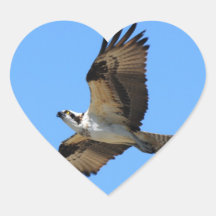Osprey Bird Stickers