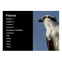 osprey business card