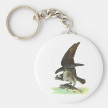Osprey by John James Audubon Key Chains