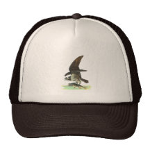 Osprey by John James Audubon Trucker Hats