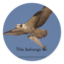 Osprey Fisher Round Sticker