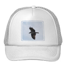 Osprey Flight Baseball Hat