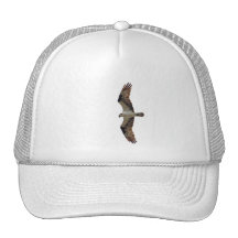 Osprey Flying Photo Trucker Hats