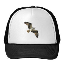 Osprey in Flight Logo Hat