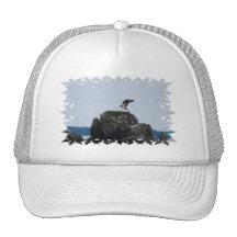 Osprey Landing Baseball Hat