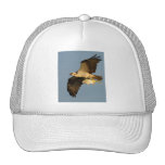 osprey mesh hat