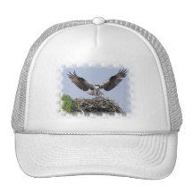 Osprey Nest Baseball Hat