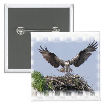 Osprey Nest Pin