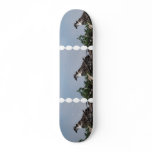 Osprey Sitting on a Nest Skateboard