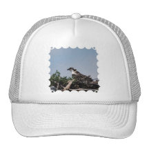 Osprey Sitting on Nest Baseball Hat