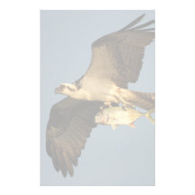 osprey with fish custom stationery