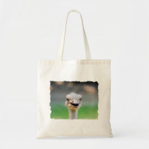 Ostrich 2 canvas bags