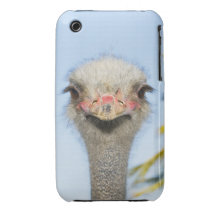 Ostrich (2) iPhone 3 Case-Mate cases