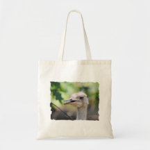 Ostrich 3 bags