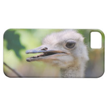 Ostrich 3 iPhone 5 covers