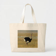 Ostrich Bags