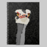 Ostrich Black Notebook notebooks