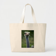 Ostrich Canvas Bag