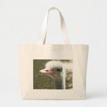 ostrich canvas bags