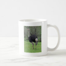 Ostrich Coffee Mugs