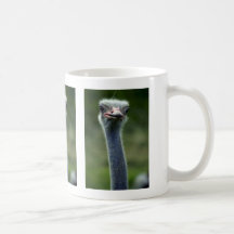 Ostrich Coffee Mugs