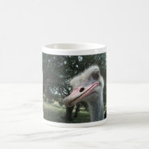 Ostrich Coffee Mugs