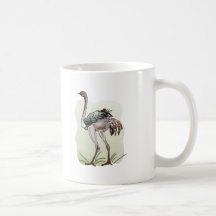 Ostrich Coffee Mugs
