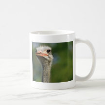 Ostrich Coffee Mugs