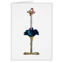 Ostrich Greeting Card