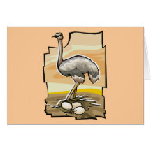 Ostrich Greeting Cards