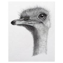 OSTRICH HEAD IN PENCIL: ART: REALISM LETTERHEAD DESIGN