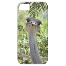 Ostrich iPhone 5 Covers