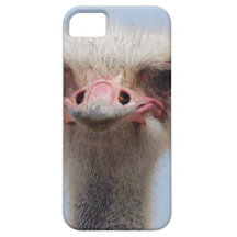 Ostrich iPhone 5 Covers