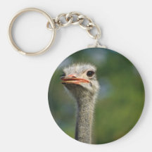 Ostrich Keychains