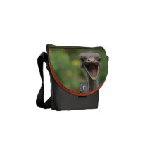 Ostrich Mini Messenger Bag
