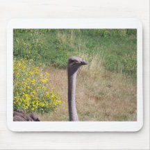 Ostrich Mousepads