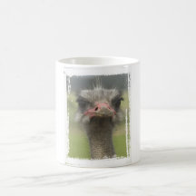 Ostrich Mug