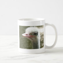 ostrich mugs