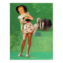 Ostrich Pin Up Post Card