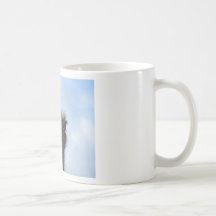 Ostrich Portrait Mugs