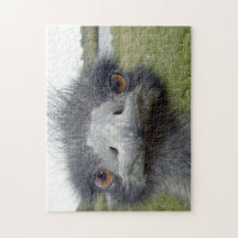 ostrich puzzle