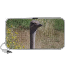 Ostrich Speaker System