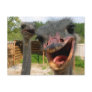 Ostrich What's Up Couple Postcard