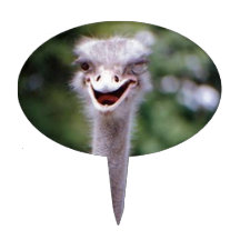 Ostrich Winking - Funny Cake Pick