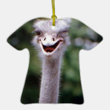 Ostrich Winking - Funny Christmas Ornaments