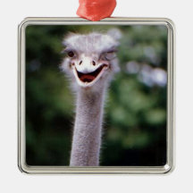 Ostrich Winking - Funny Christmas Tree Ornament