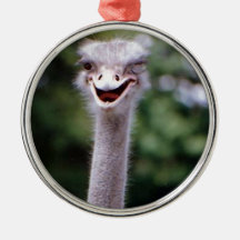 Ostrich Winking - Funny Christmas Tree Ornaments